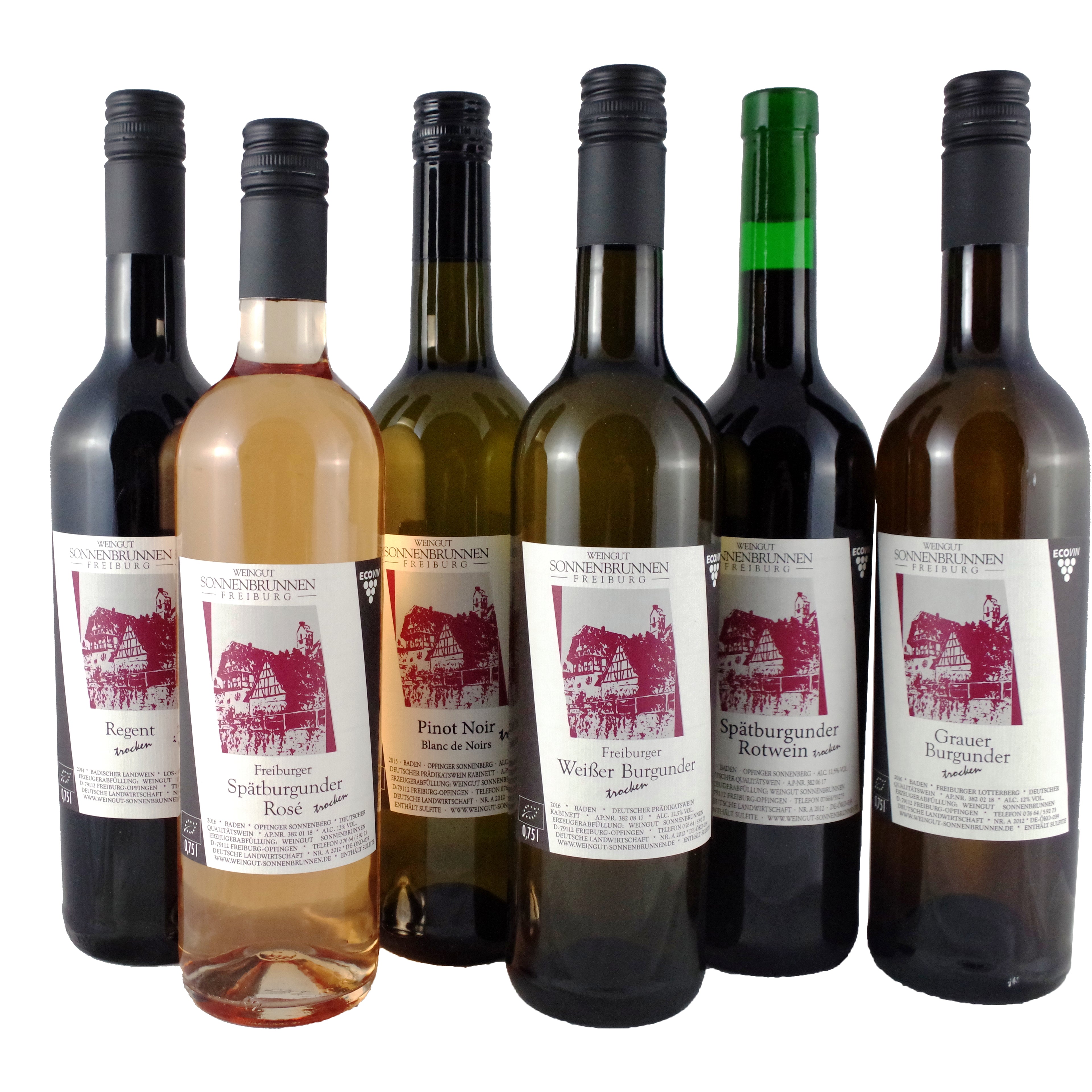 Probierpaket Classic